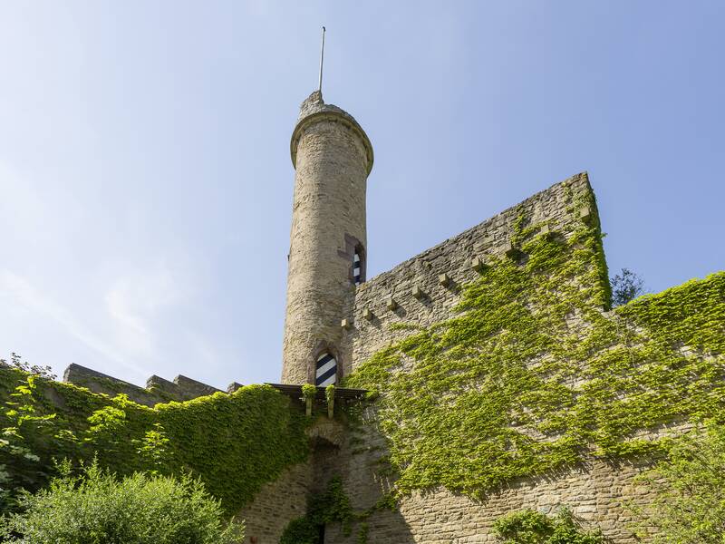 Ein hoher, runder Steinturm ragt aus einer mit Efeu bewachsenen Burgmauer in den blauen Himmel.