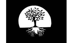 Baum in schwarz und weiß mit Krone und Wurzelwerk als Logo